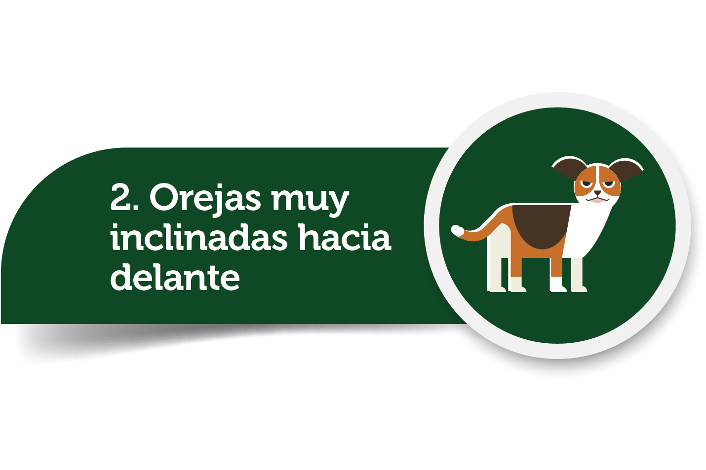 imagen2.png